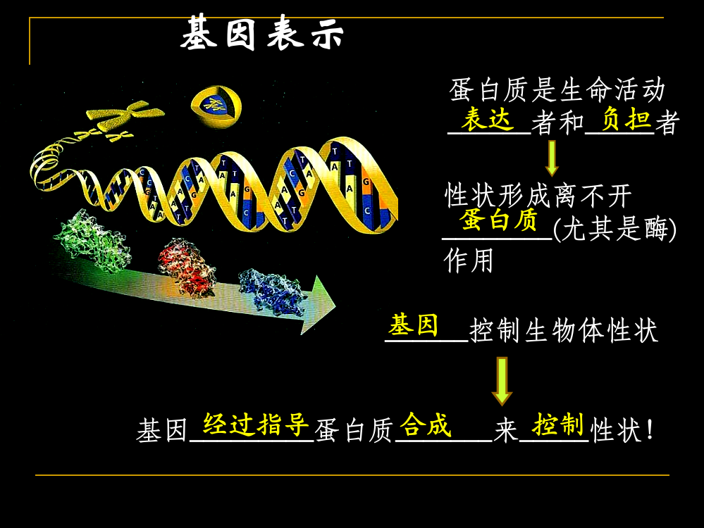 基因指导蛋白质的合成基因的表达复习市公开课一等奖省赛课微课金奖PPT课件