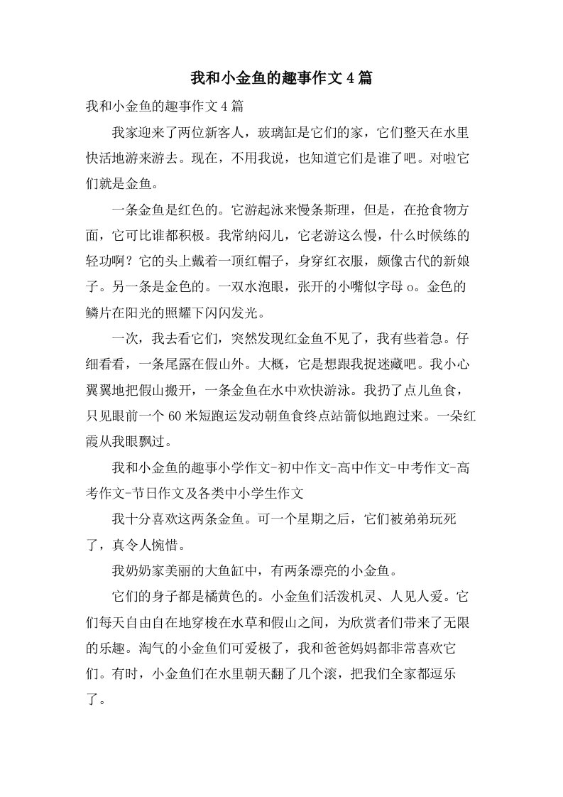 我和小金鱼的趣事作文4篇