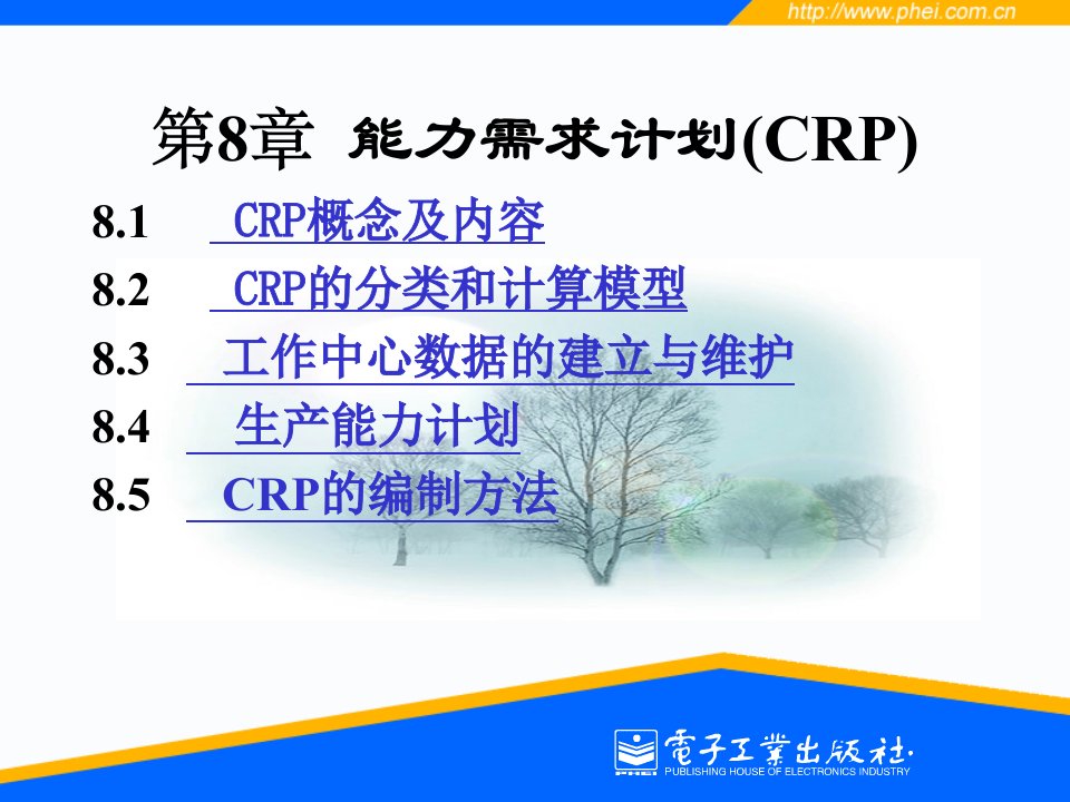 企业资源计划(ERP)