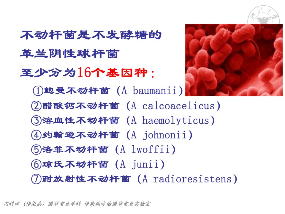 鲍曼不动杆菌流行及治疗