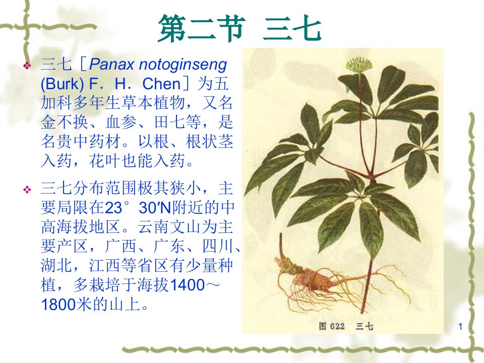 药用植物栽培学三七栽培技术课件