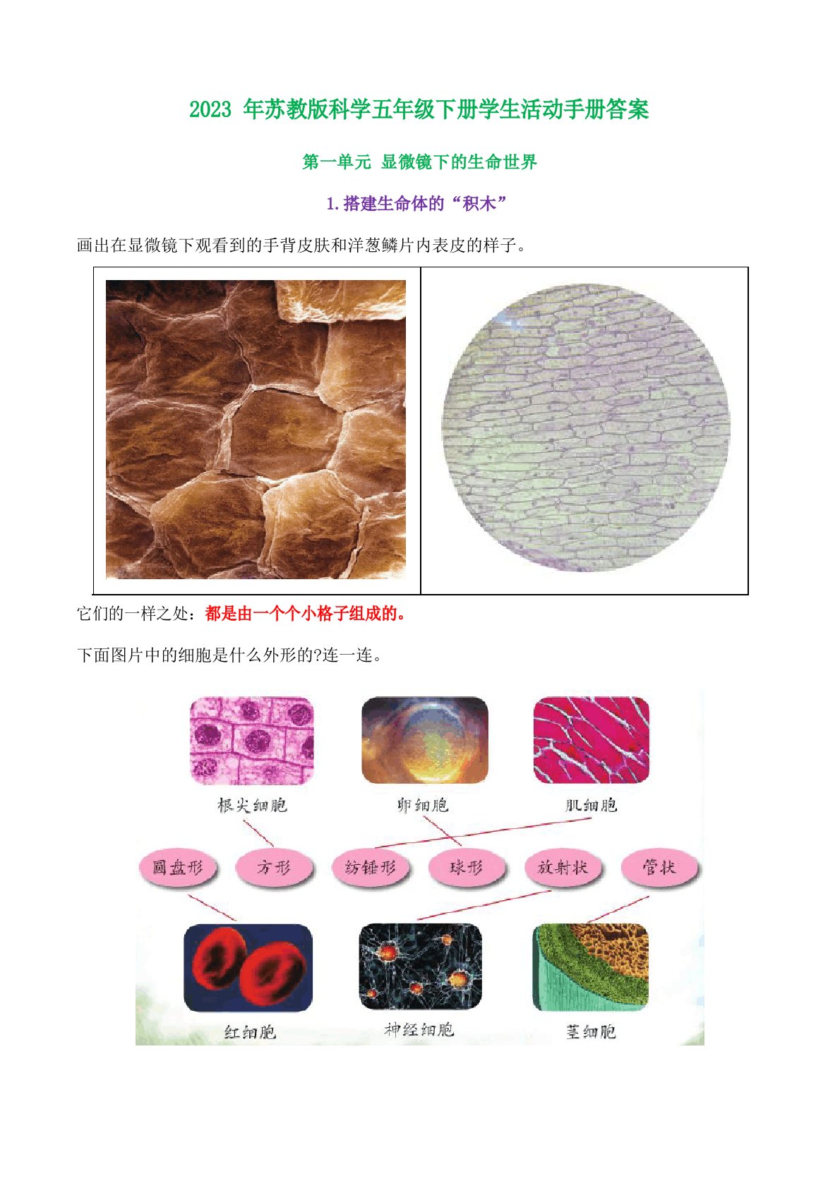 2023年新苏教版科学五年级下册学生活动手册答案(附教学计划)