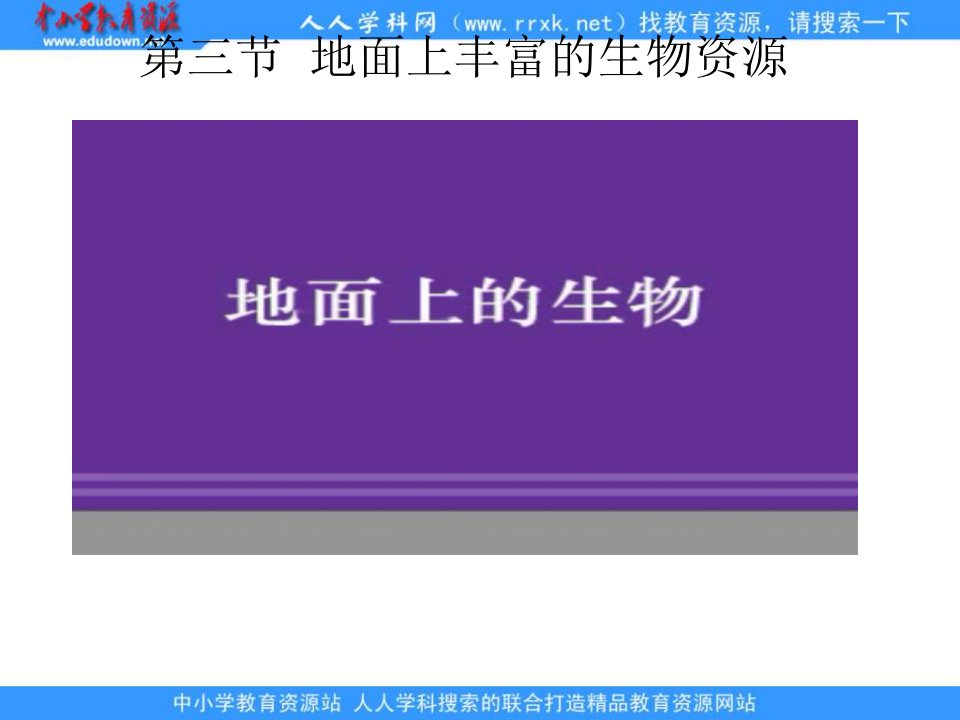苏科版生物七下《地面上丰富的生物资源》