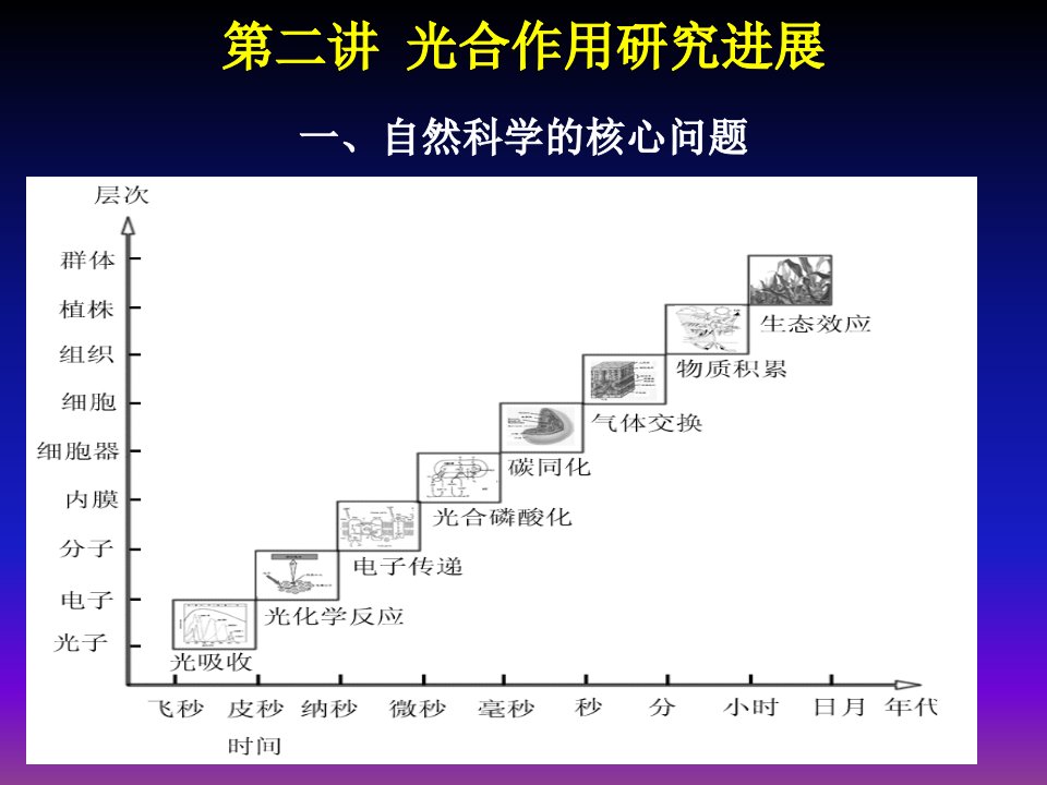 光合作用研究进展讲座教学PPT课件