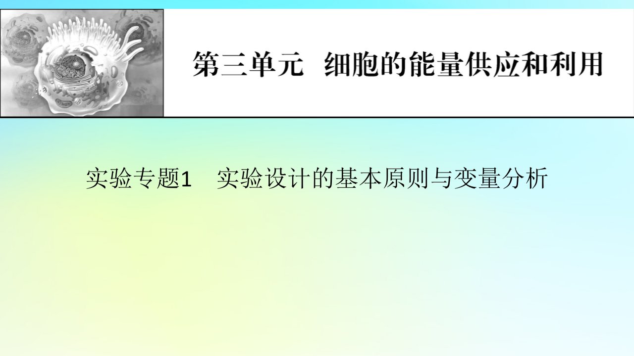 2024版高考生物一轮总复习第三单元细胞的能量供应和作用实验专题1实验设计的基本原则与变量分析课件