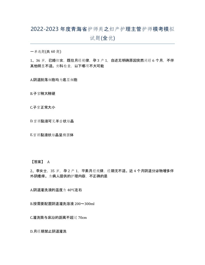 2022-2023年度青海省护师类之妇产护理主管护师模考模拟试题全优