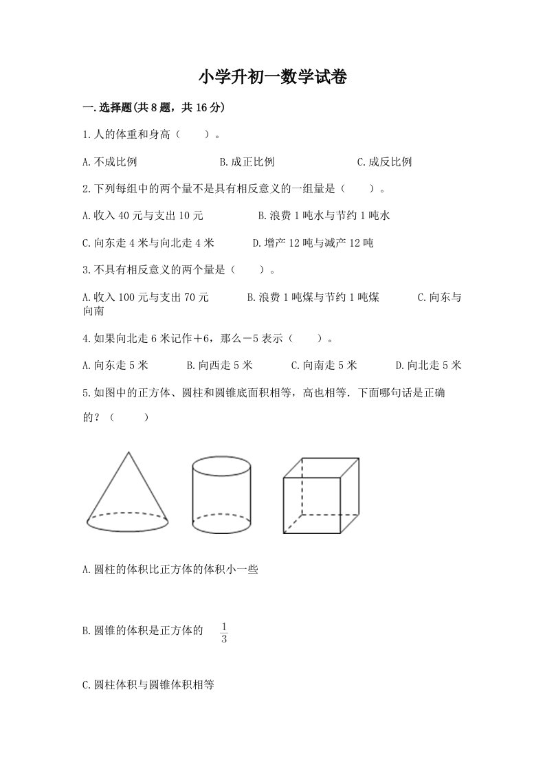 小学升初一数学试卷（易错题）