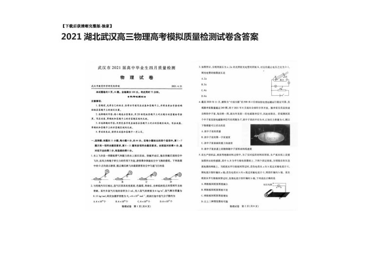 2021湖北武汉高三物理高考模拟质量检测试卷含答案