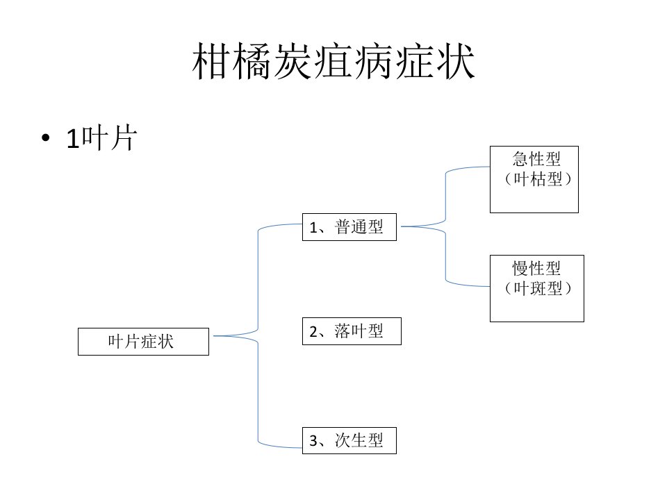 柑橘炭疽病症状