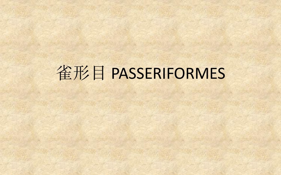 鸟类学课件雀形目PASSERIFORMES