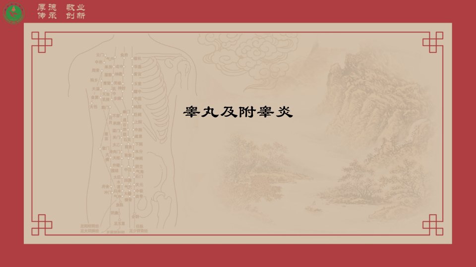 睾丸及附睾炎教材教学课件