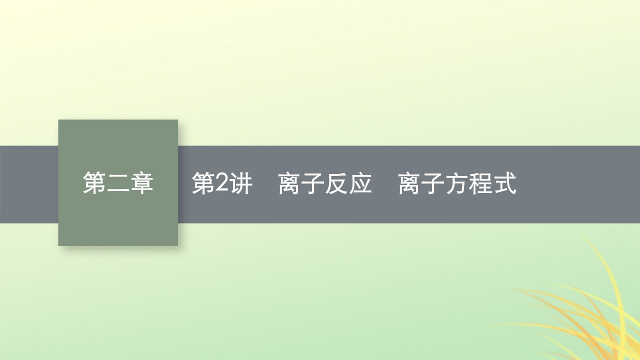 适用于新高考新教材广西专版2024届高考化学一轮总复习第二章物质及其变化第2讲离子反应离子方程式课件