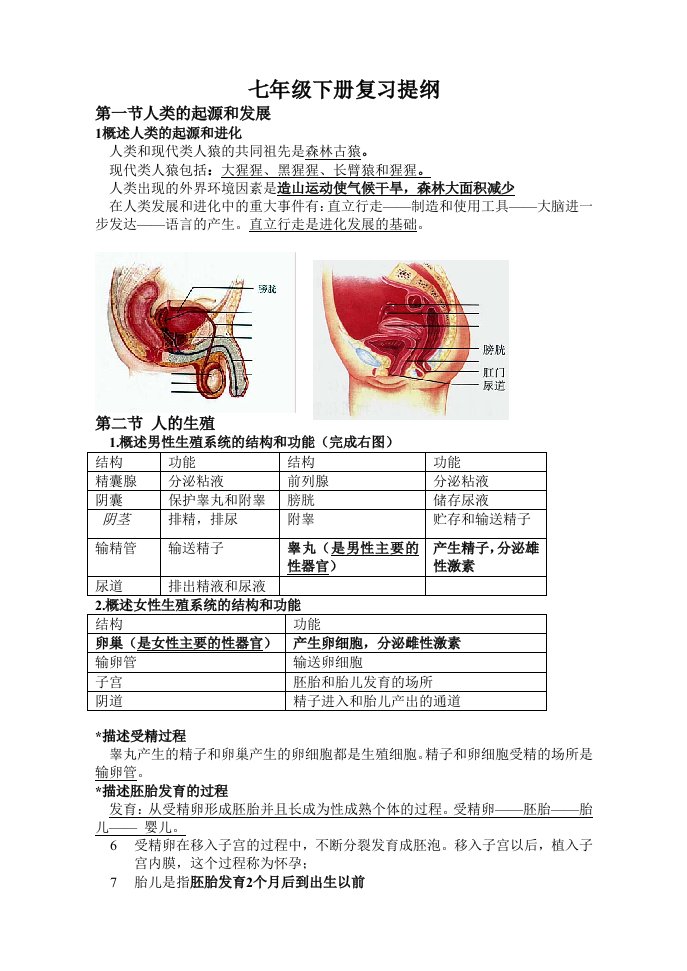 人教版生物七年级下册复习提纲