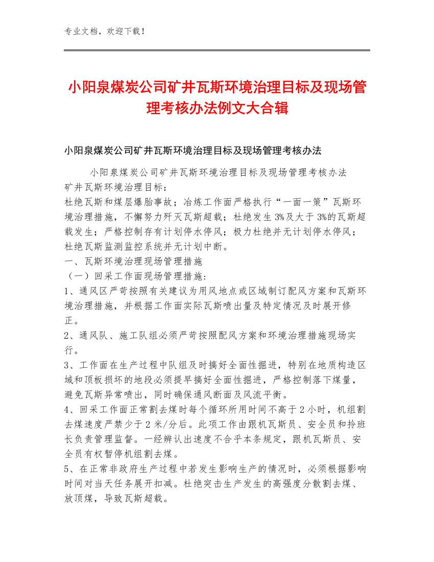 小阳泉煤炭公司矿井瓦斯环境治理目标及现场管理考核办法例文大合辑