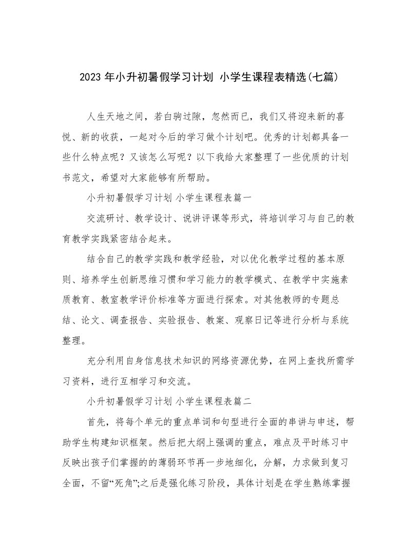 2023年小升初暑假学习计划