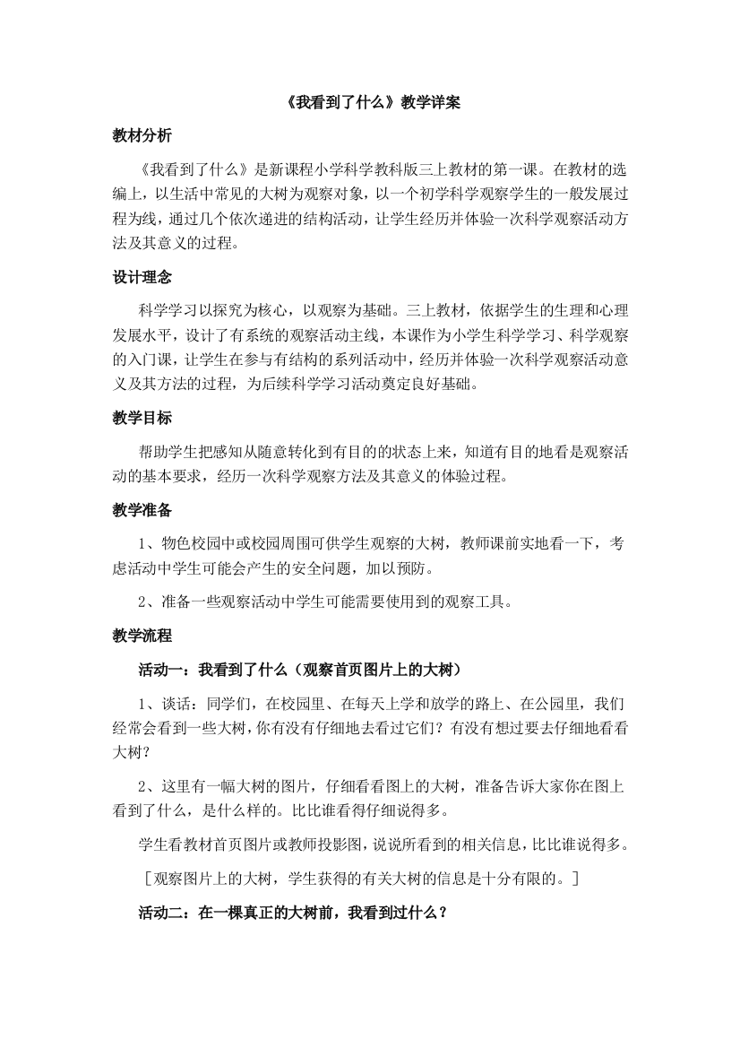 11《我看到了什么》教学详案