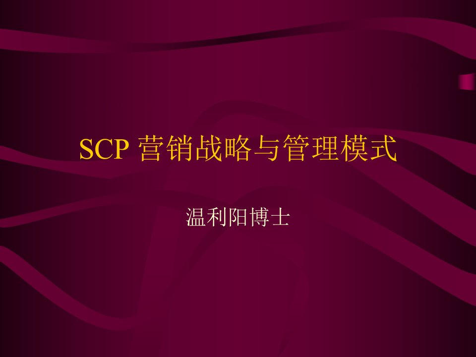 1SCP营销战略与管理模式