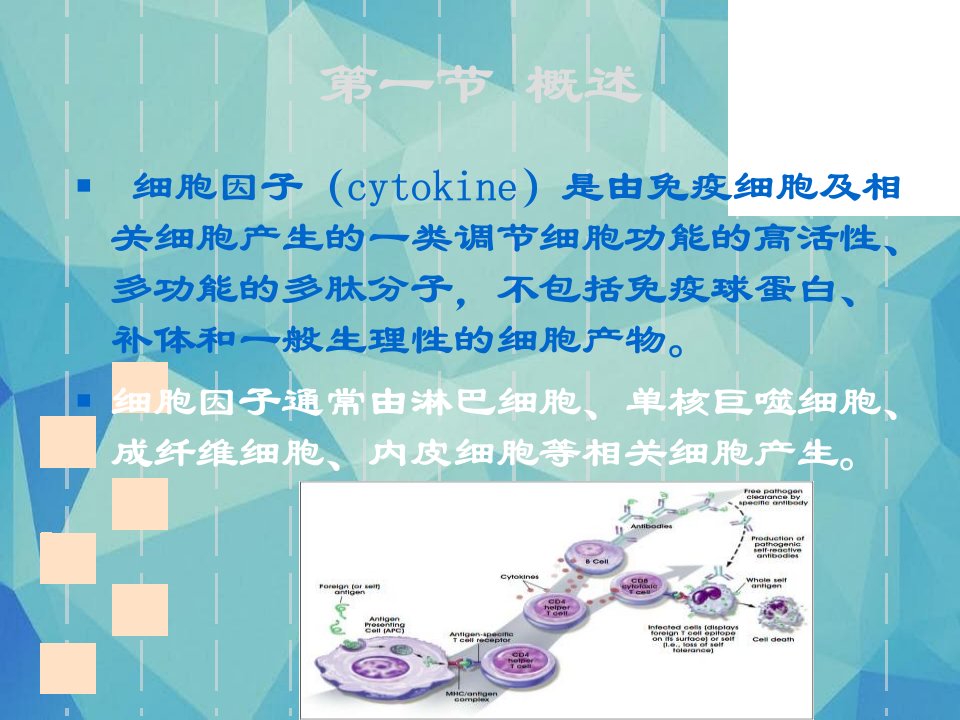 重组细胞因子药物课件