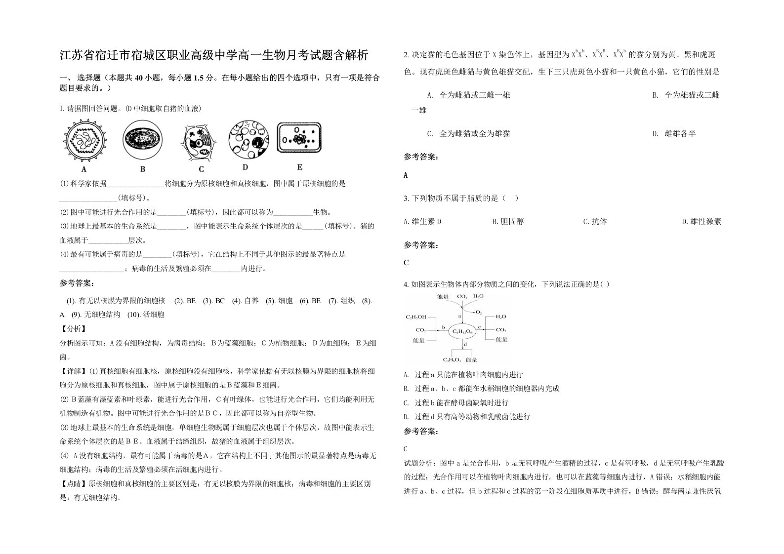 江苏省宿迁市宿城区职业高级中学高一生物月考试题含解析