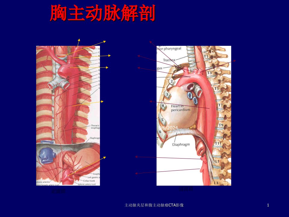 2021年主动脉夹层和腹主动脉瘤CTA影像