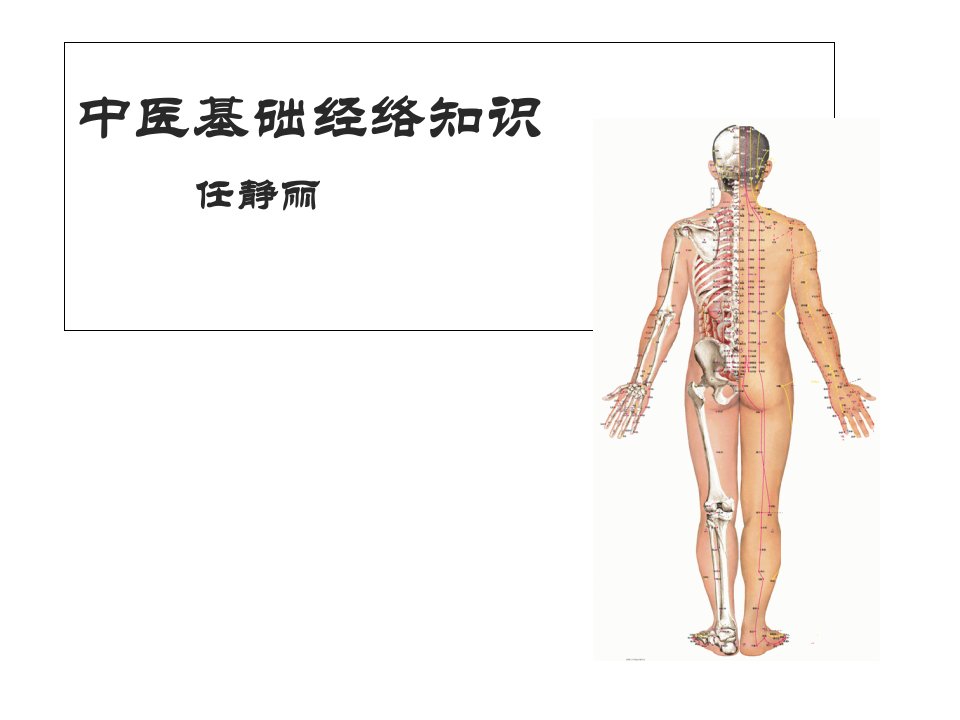 中医基础经络知识(PPT-26页)