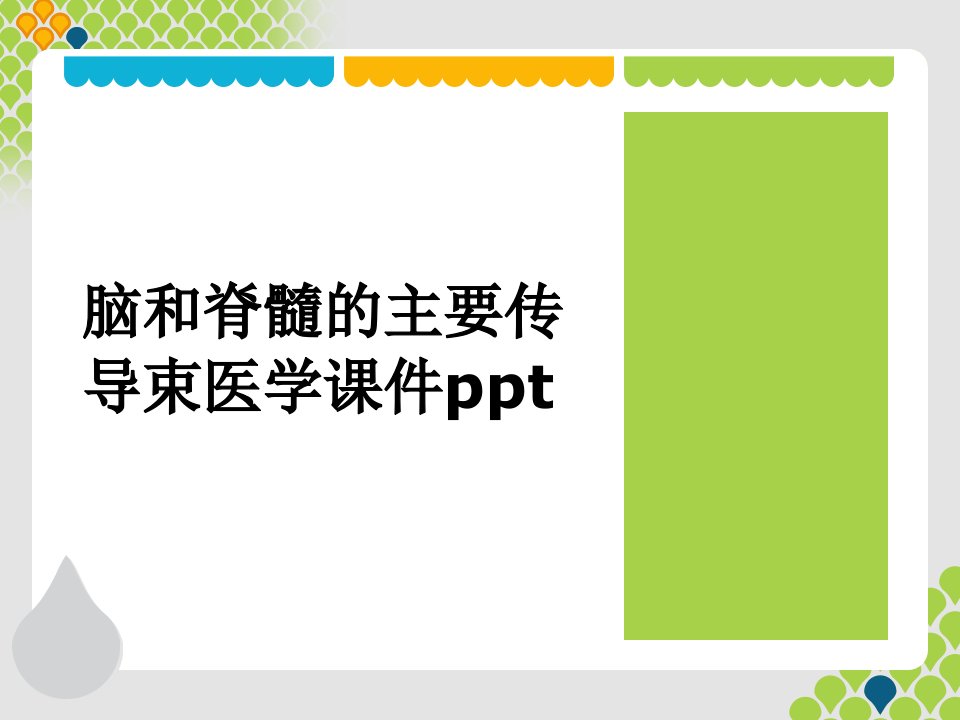 脑和脊髓的主要传导束医学课件ppt