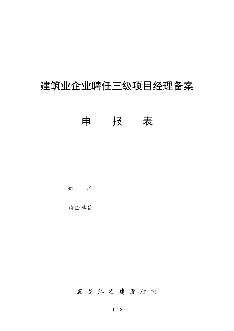 级项目经理聘任申报表