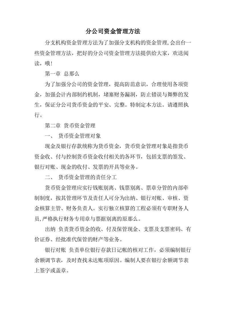 分公司资金管理办法