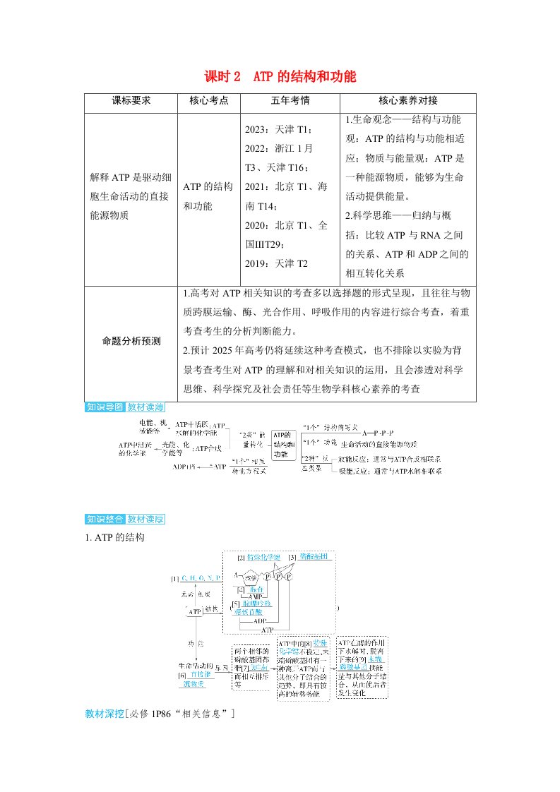 备考2024届高考生物一轮复习讲义第三章细胞代谢课时2ATP的结构和功能