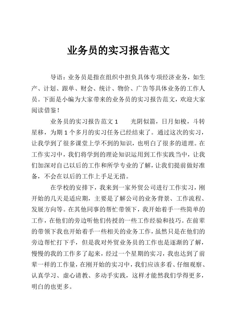 业务员的实习报告范文