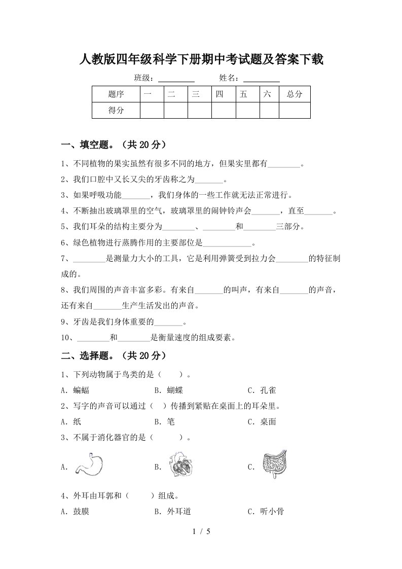 人教版四年级科学下册期中考试题及答案下载