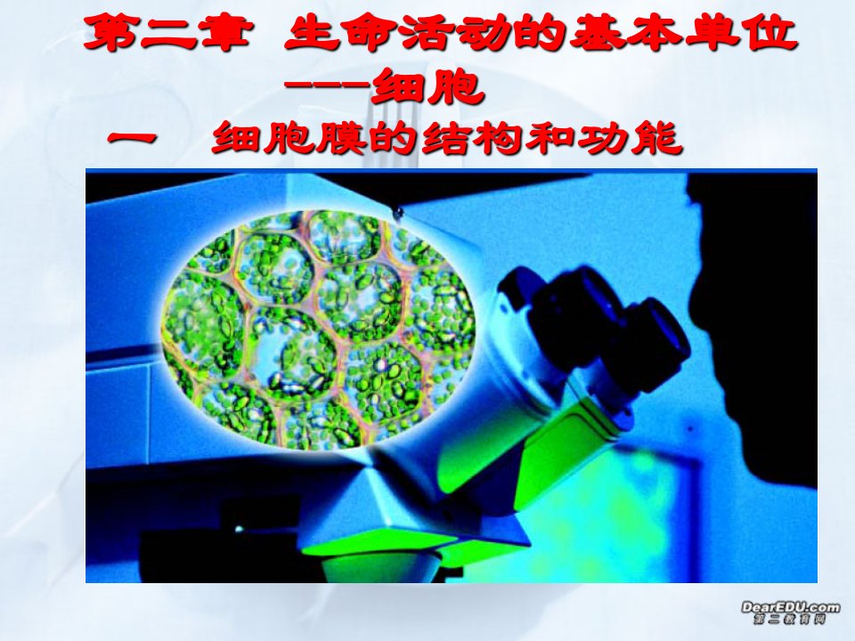 高三生物一轮复习细胞膜的结构和功能