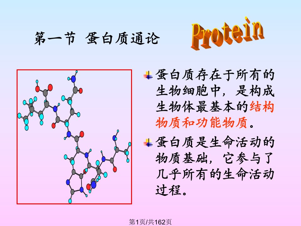 蛋白质组成成分和氨基酸