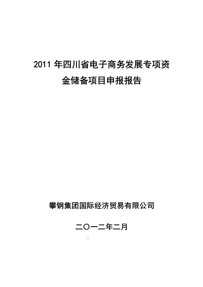 攀钢集团国际经济贸易有限公司电子商务平台项目资金申请报告