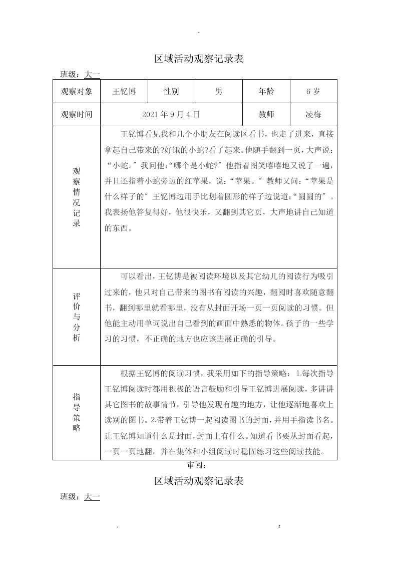 区域活动观察记录表