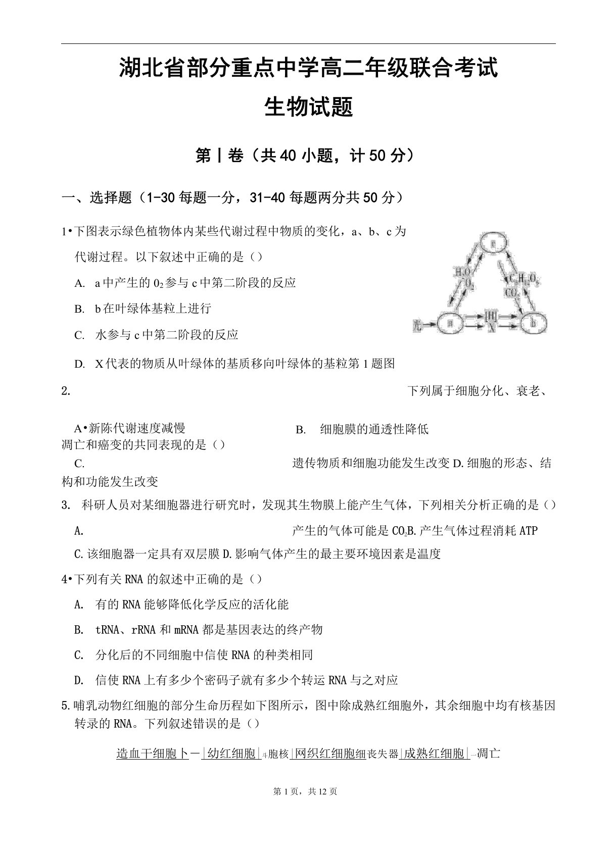 湖北省部分重点中学2020-2021学年高二上学期联考生物试题