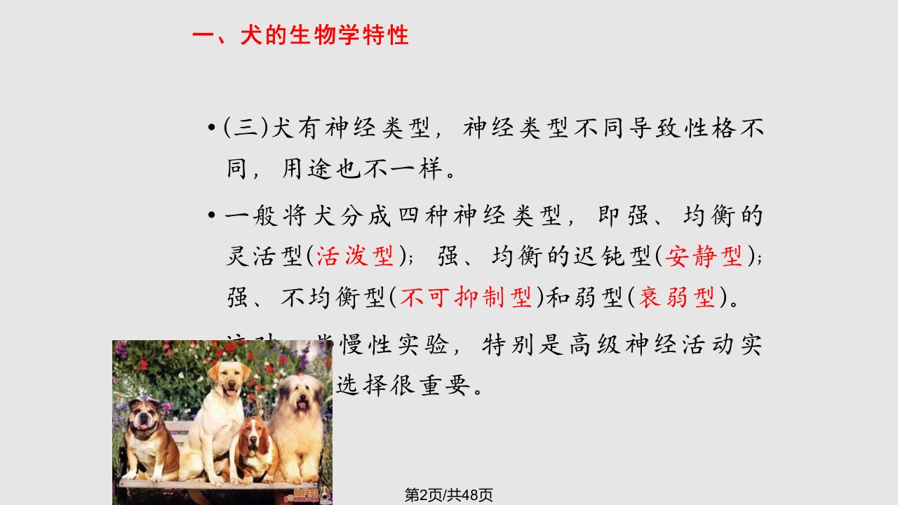 犬的一般介绍