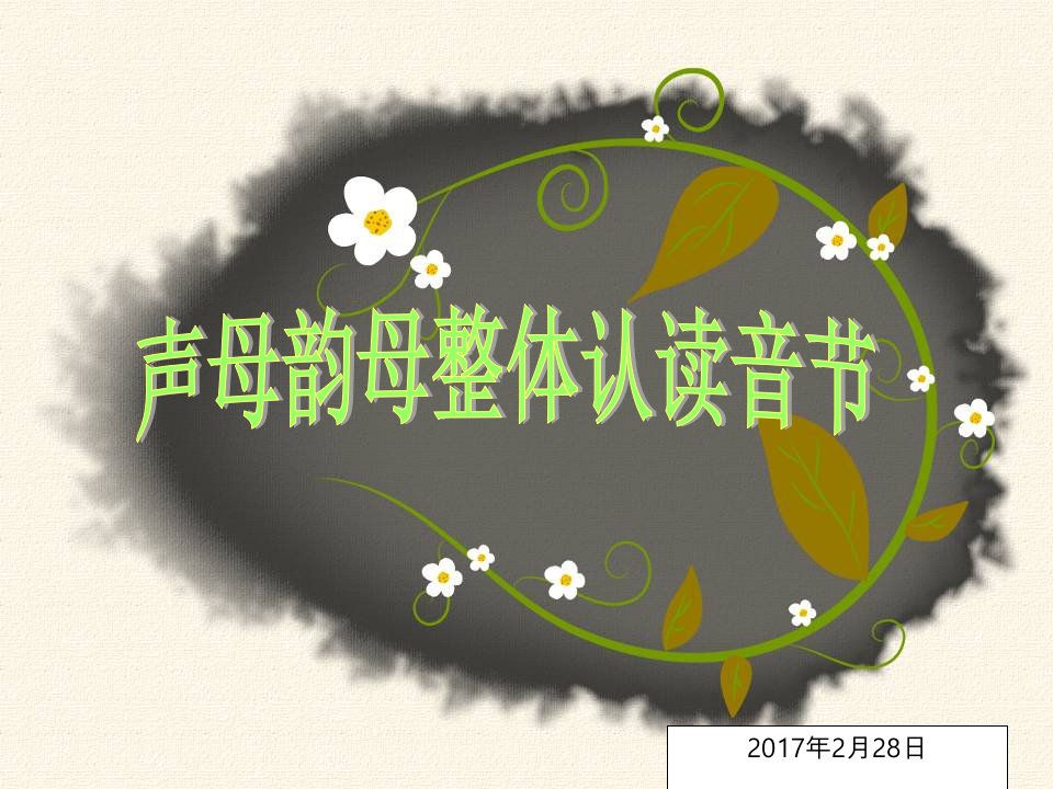 声母韵母整体认读音节复习