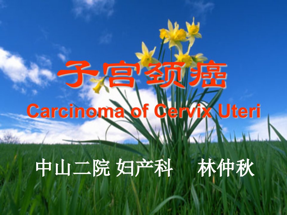 子宫颈癌CarcinomaofCervixUteri课件