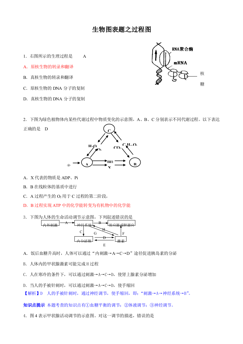 2008年生物图表题专题突破--过程图