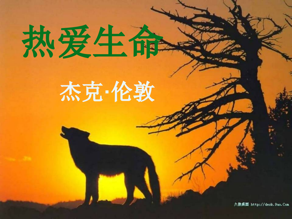 《热爱生命》ppt课件11