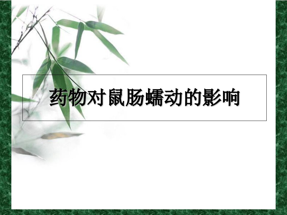 药物对鼠肠蠕动的影响PPT课件