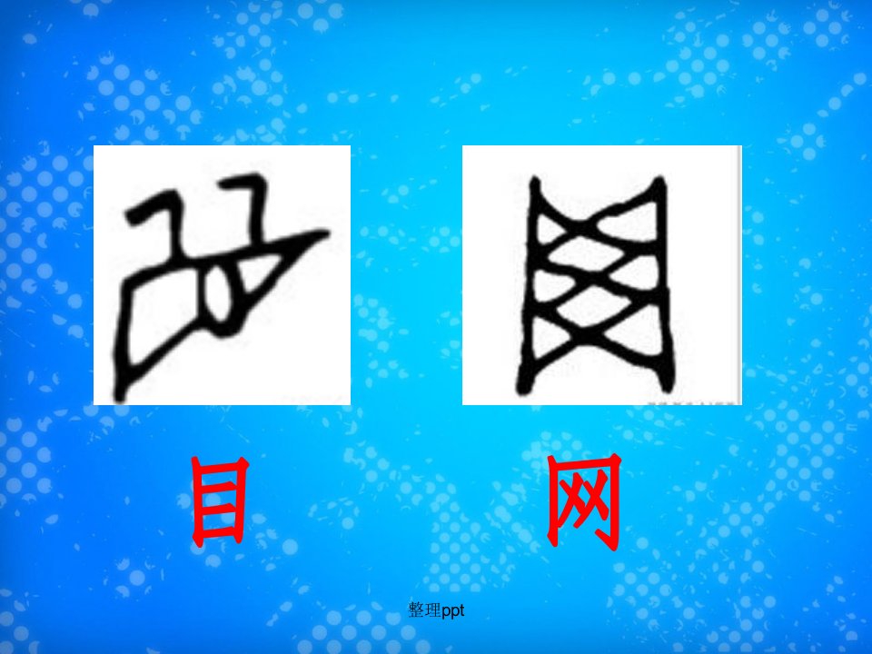 部编版二年级下册《贝的故事》