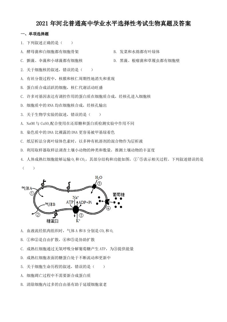 2021年河北普通高中学业水平选择性考试生物真题及答案