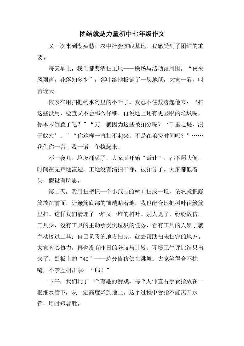 团结就是力量初中七年级作文