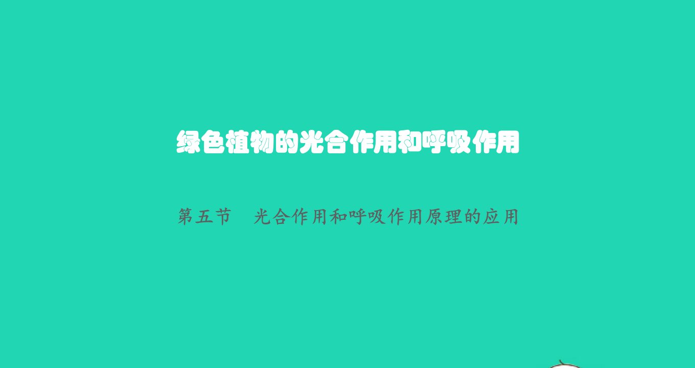 2022七年级生物上册第3单元生物圈中的绿色植物第6章绿色植物的光合作用和呼吸作用第五节光合作用和呼吸作用原理的应用课件新版苏教版