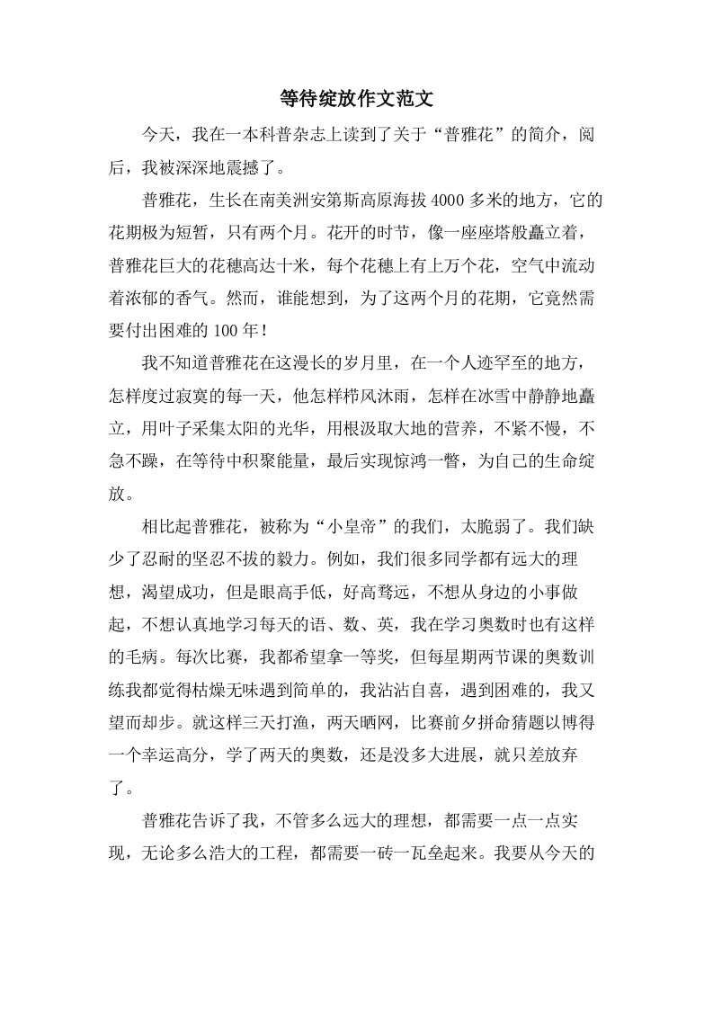 等待绽放作文范文