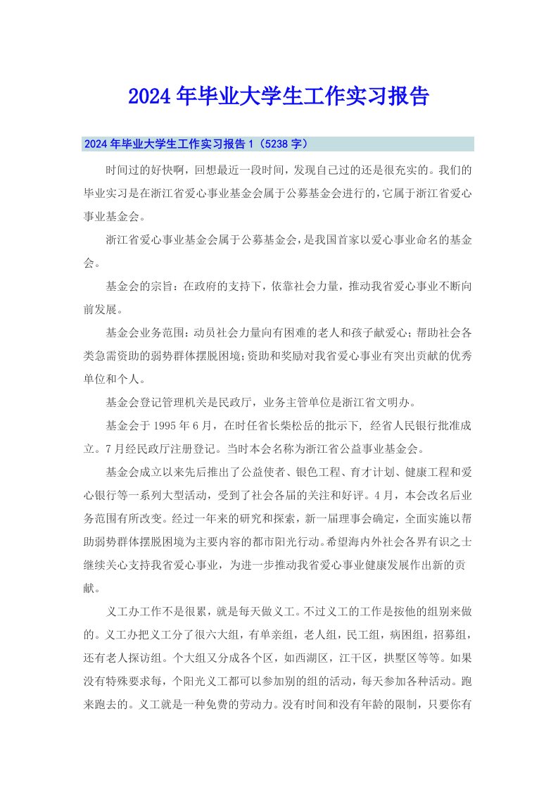 2024年毕业大学生工作实习报告