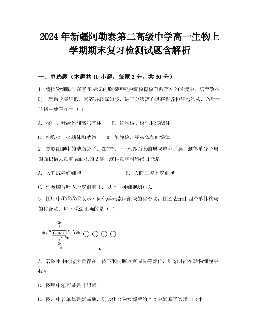 2024年新疆阿勒泰第二高级中学高一生物上学期期末复习检测试题含解析