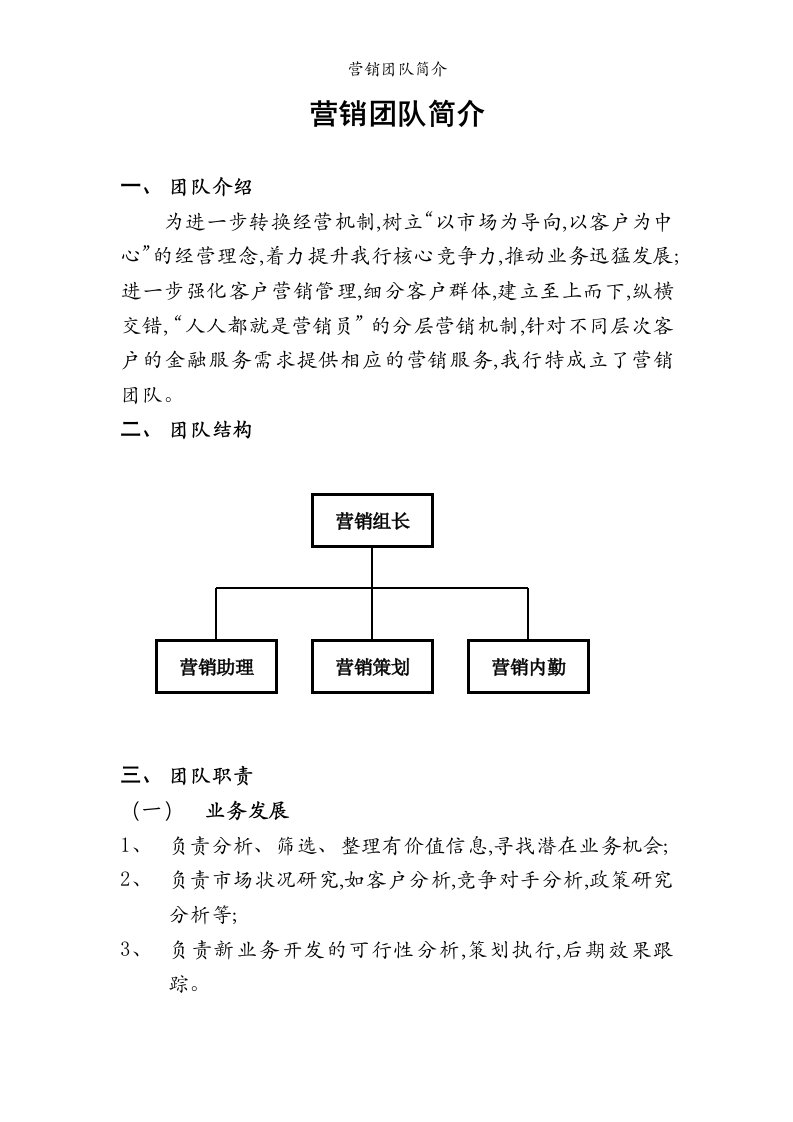 营销团队简介